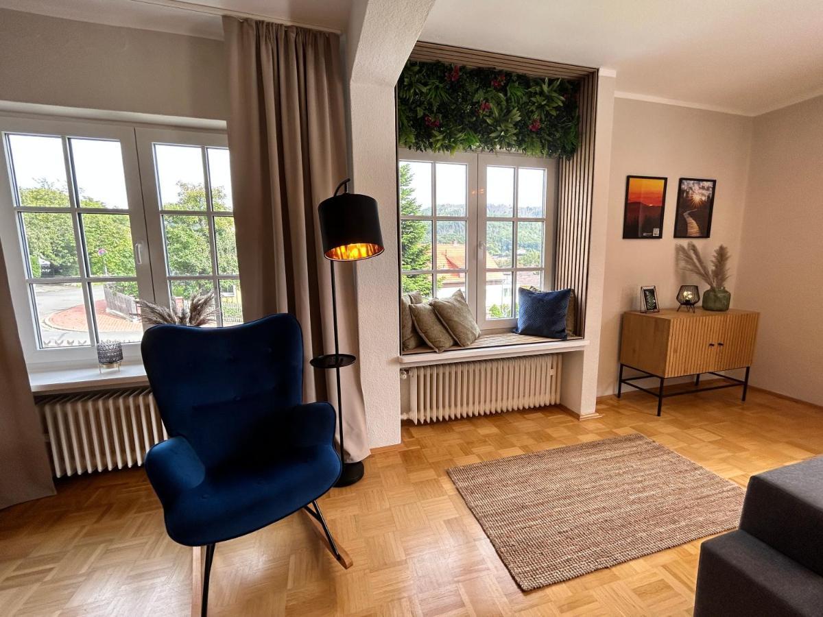 Harzburgliving Wohnung Goethe'S Ausblick 巴特哈尔茨堡 外观 照片